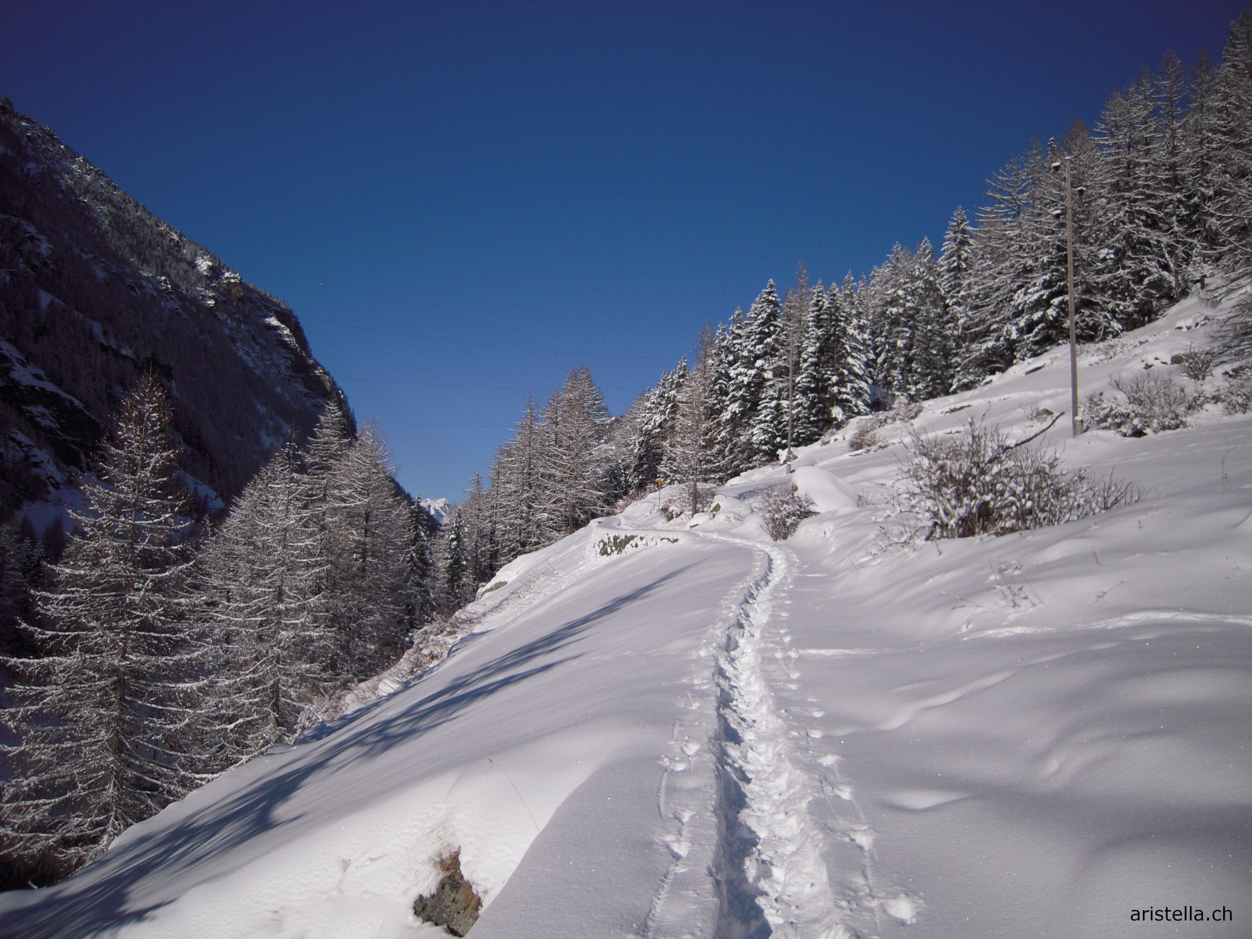 Chemin de randonnée hivernale